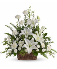 Peaceful White Lilies