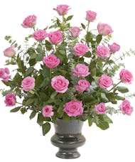 Pink Rose Supreme
