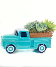 Chevy Succulent's