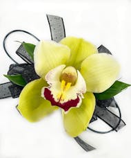 Cymbidium Orchid Wristlet