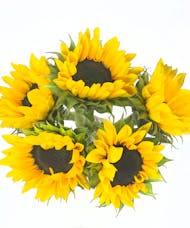 Sunflowers Five Stem Bunch